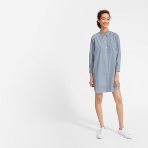 Everlane: The Cotton Shirtdress